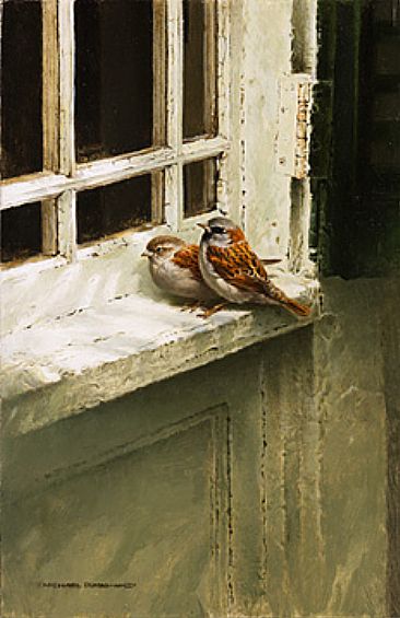 The Immigrants - House Sparrows on window sill by Michael Dumas